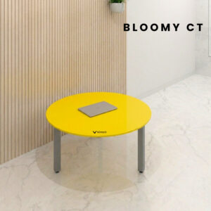 Bloomy CT